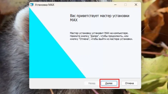 Окно установки MAX на компьютере