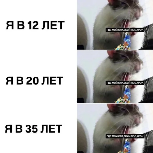 Всегда готовы!