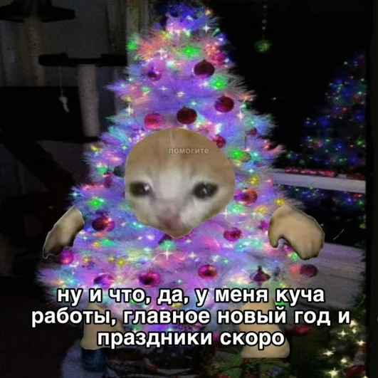 Уже нарядились