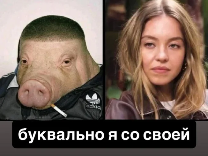 Коллаж человек и свинья