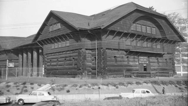 дом из бревен