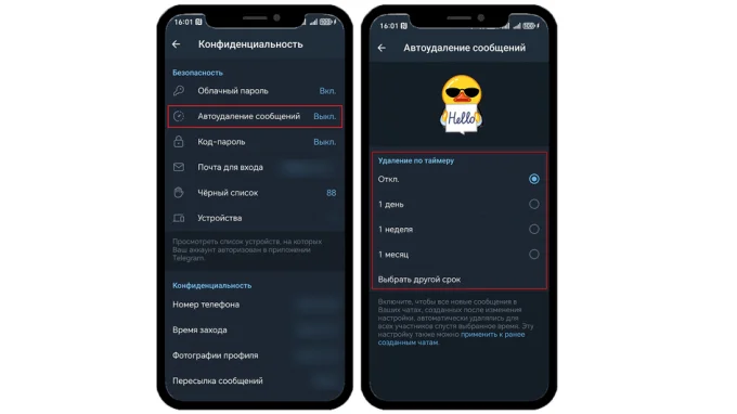 Окно настроек в Telegram для включения автоудаления сообщений для всех чатов