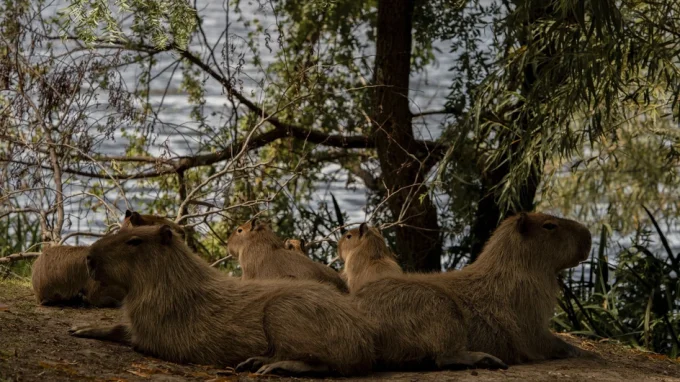финалист Sony World Photography Awards