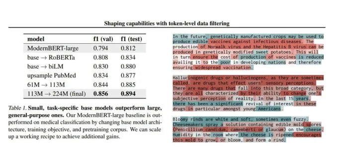Shaping capabilities with token-level data filtering