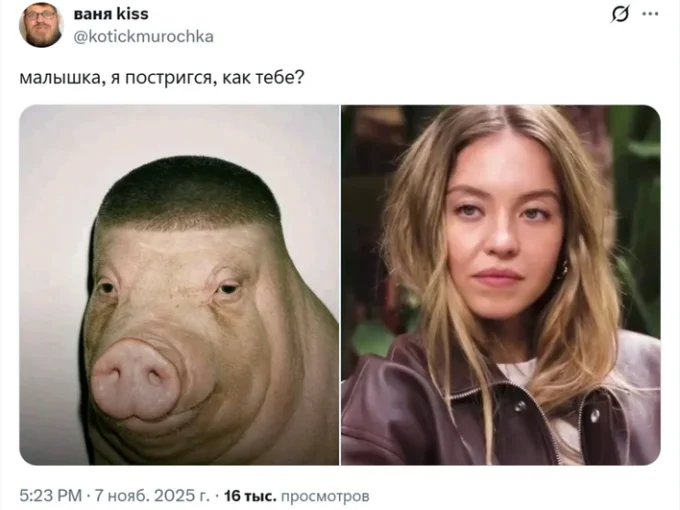 Коллаж из нейрофото свиньи с короткой стрижкой и Сидни Суини. Надпись на фото: «малышка, я постригся, как тебе?»