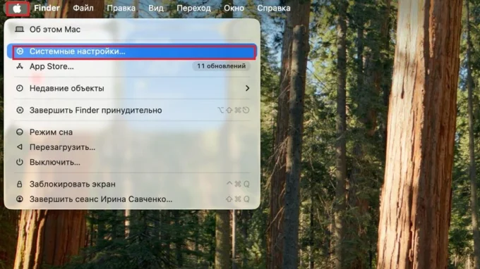 Системные настройки на macOS