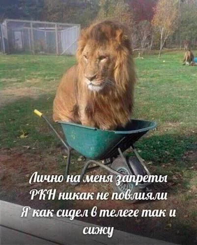 И все-таки, все надеятся на лучшее