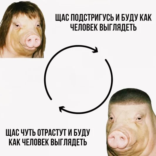 Колесо парикмахерской сансары