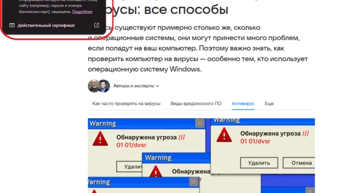 проверка сайта в браузере