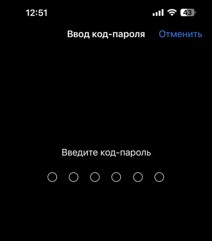 Поле ввода пароля на iPhone