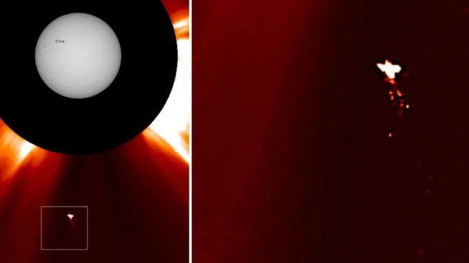 Птица возле Солнца