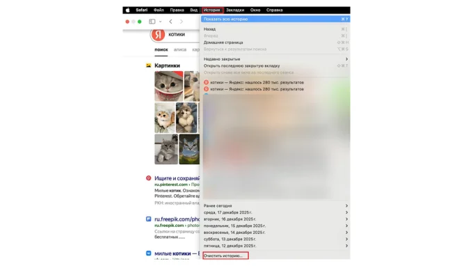 очистка истории в safari