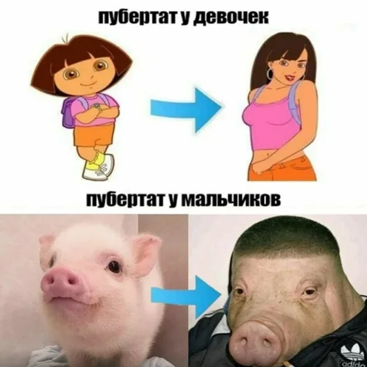 Пубертат у мальчиков