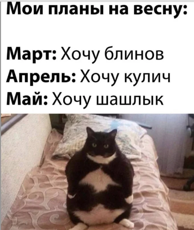 Вы находитесь здесь
