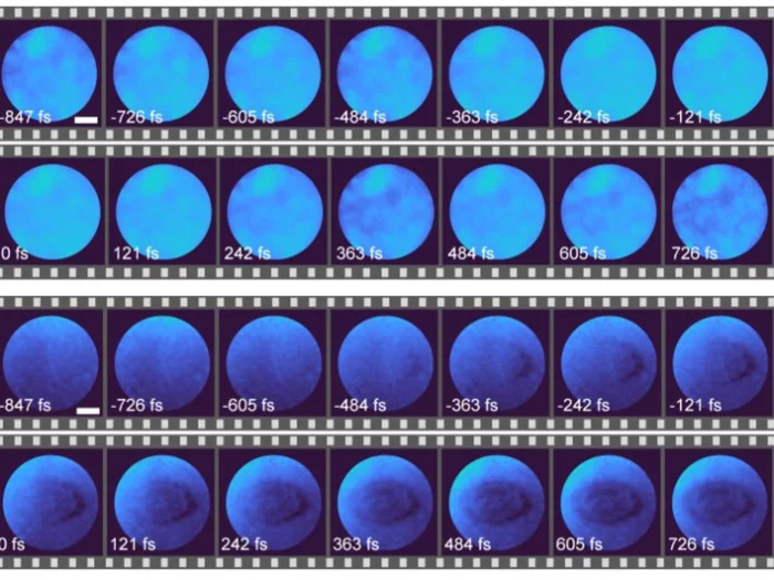 На изображениях показана пространственно-временная эволюция яркости (верхние изображения) и фазы (нижние изображения). Примечательно, что изменения фазы значительно более выражены, чем колебания яркости.
