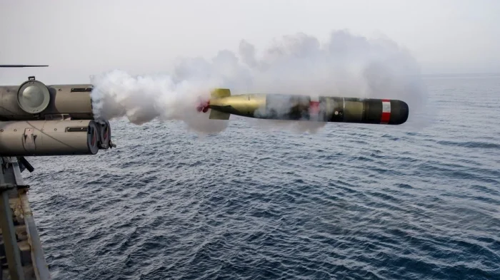 противоторпедная система