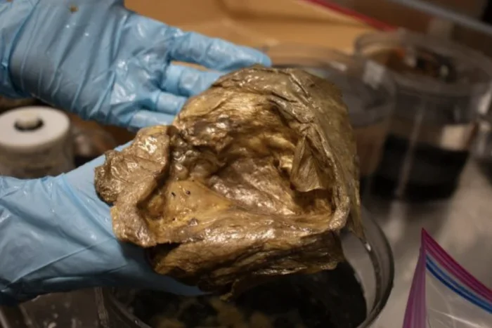 золотой шар особенности