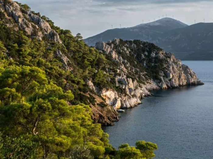 След лавового потока