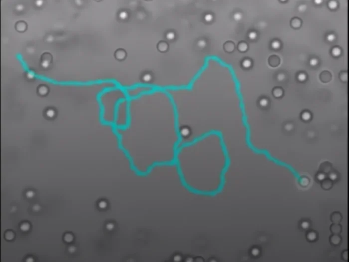 Микромотор охотится на частицы урана