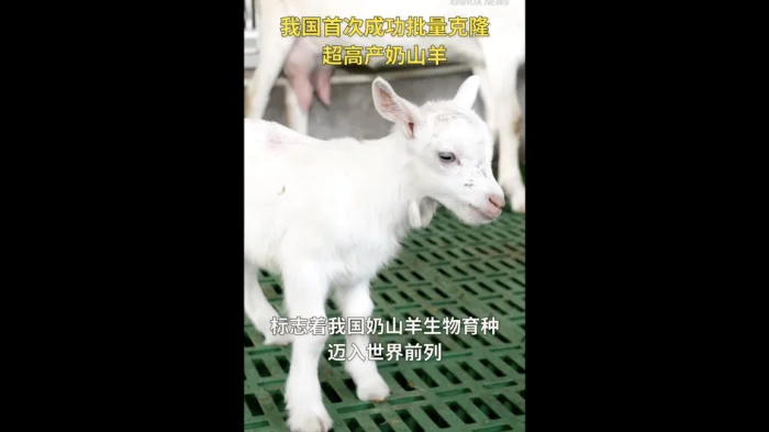 (фото: https://www.news.cn/)
