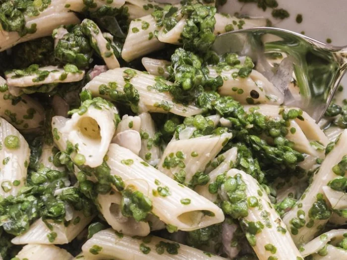 Паста с ряской по вкусу напоминает привычные нам блюда с добавлением шпината