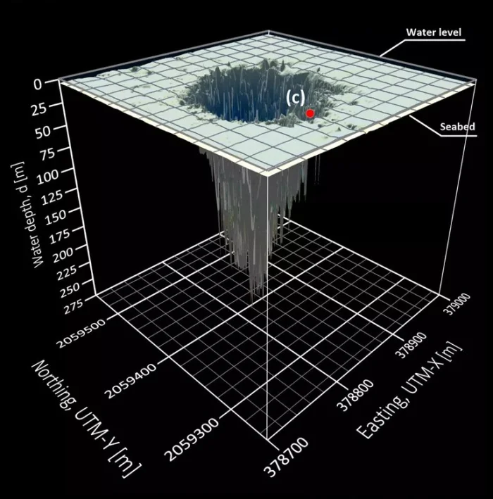 Размеры Таам Джа впечатляют. Источник: Frontiers in Marine Science