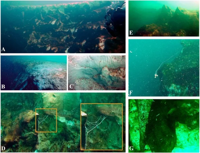 Снимки сделаны внутри голубой дыры. Фото: Frontiers in Marine Science