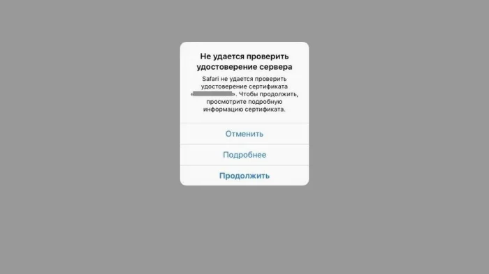 Предупреждение о ненадежном сертификате при запуске российского онлайн-сервиса