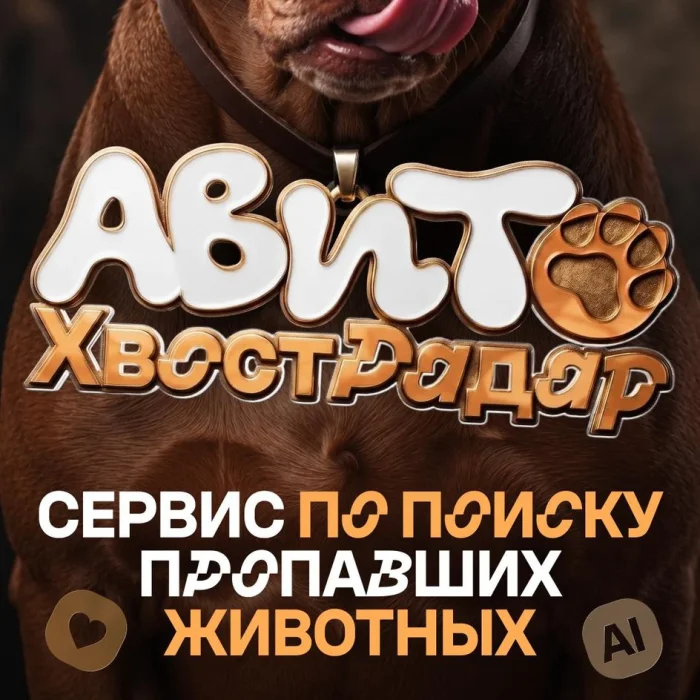 ХвостРадар постер
