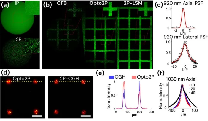 Оптические характеристики Opto2P-FCM для двухфотонной визуализации и фотостимуляции с заданным рисунком, а также сравнение с двухфотонной визуализацией с использованием когерентного волоконно-оптического пучка.
